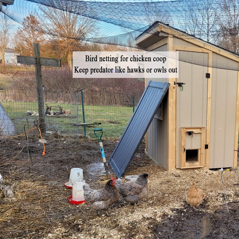 Bird Netting for Chicken Coop  - Running Cap Mesh recension och pris
