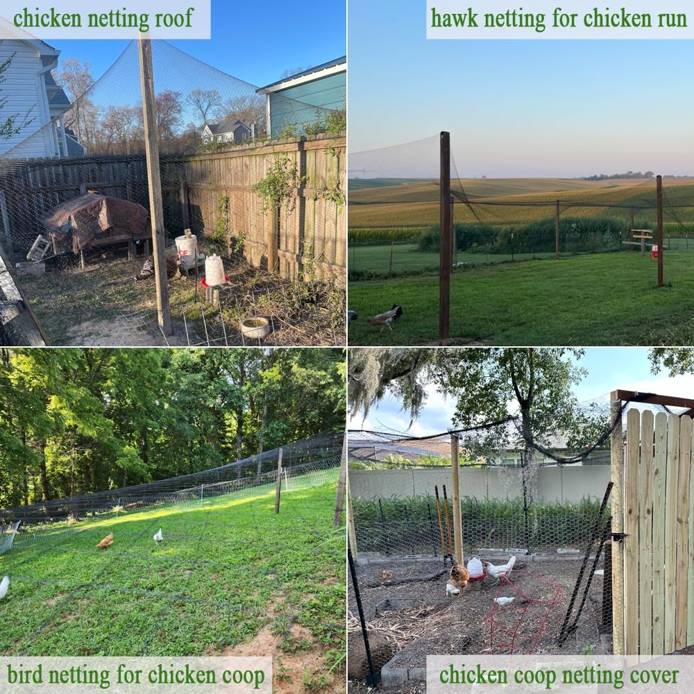 Bird Netting for Chicken Coop  - Running Cap Mesh recension och pris